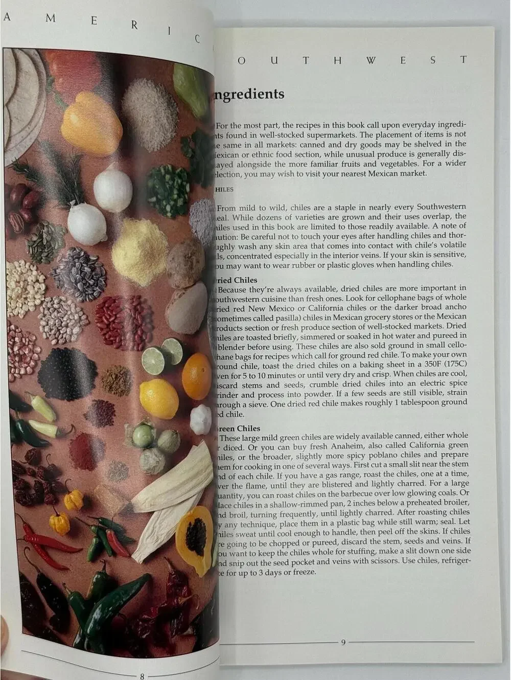 Vintage 1990s Cookbook, Southwest, Regional American Cooking, Southwestern
